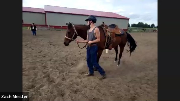 Virtual Equestrian Practice