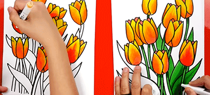 Art Class: How To Draw Tulips