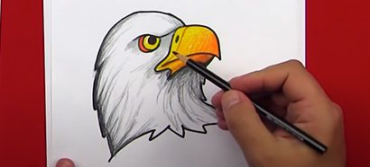 Art Class: How To Draw A Bald Eagle Head