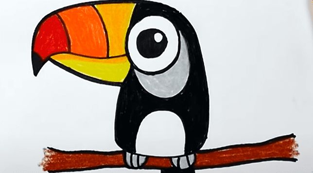 Art Class: How To Draw A Toucan