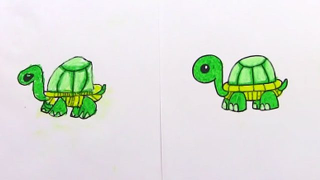 Art Class: How To Draw A Cartoon Turtle – We Thrive Together