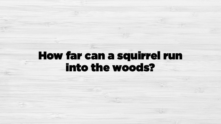 Answer Halfway. After that, he’s running back out of the woods.
