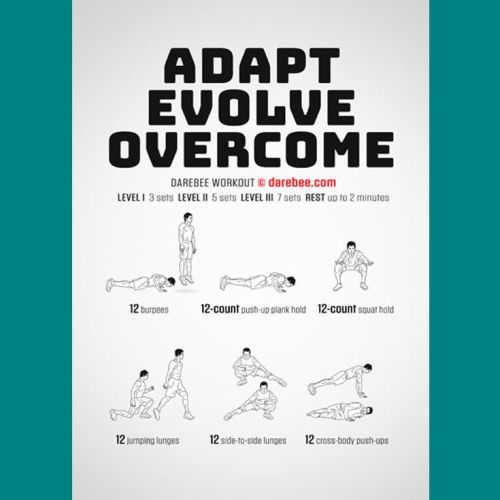 WTT_Adapt_Evolve_Overcome