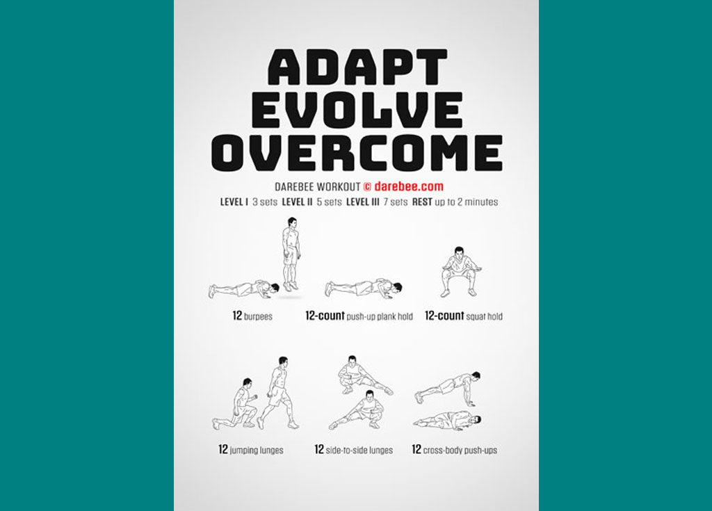 Adapt Evolve Overcome