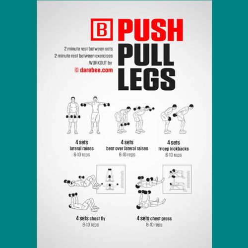 WTT_Push_Pull_Legs_B